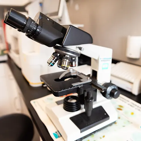 Microscope at The Valley Veterinary Hospital Microscope at The Valley Veterinary Hospital