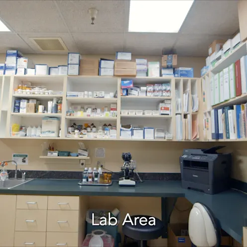 Mt. Diablo Veterinary Medical Center Laboratory area Mt. Diablo Veterinary Medical Center Laboratory area