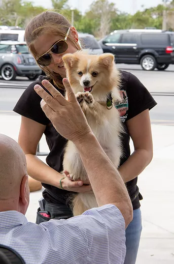 Dog and owner high five