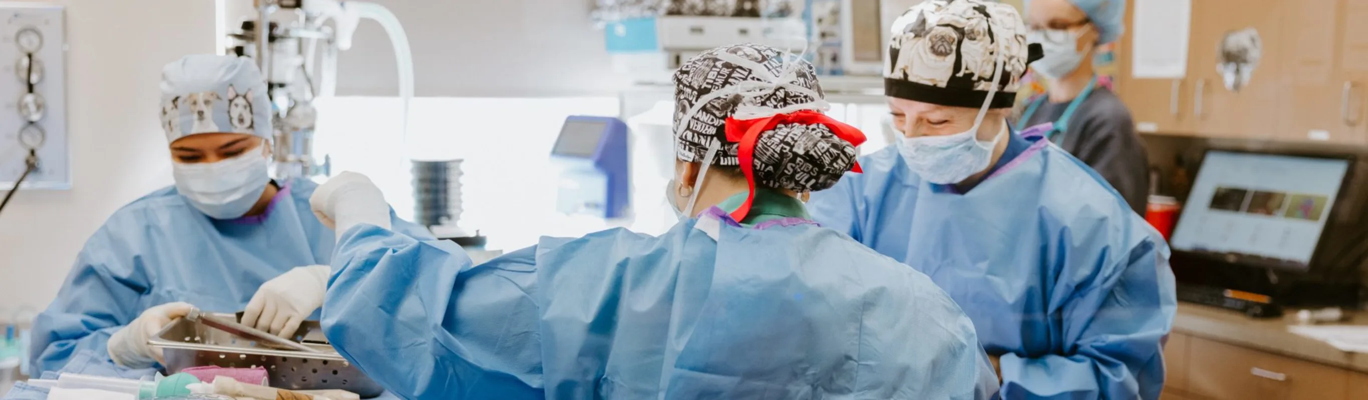 Vets preparing for surgery Vets preparing for surgery