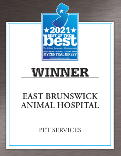 Pet Services 2021 Award