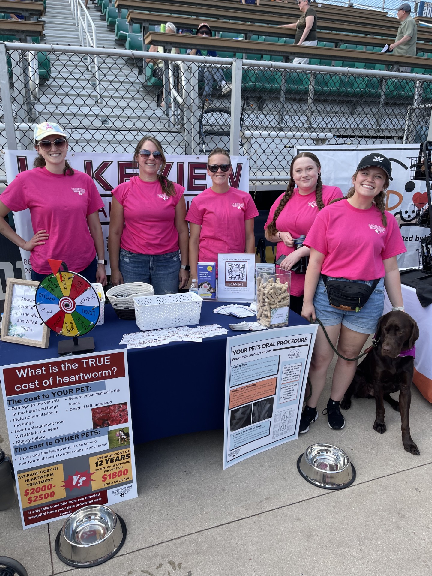 Heartworm Prevention and Team at  Lakeview Animal Hospital