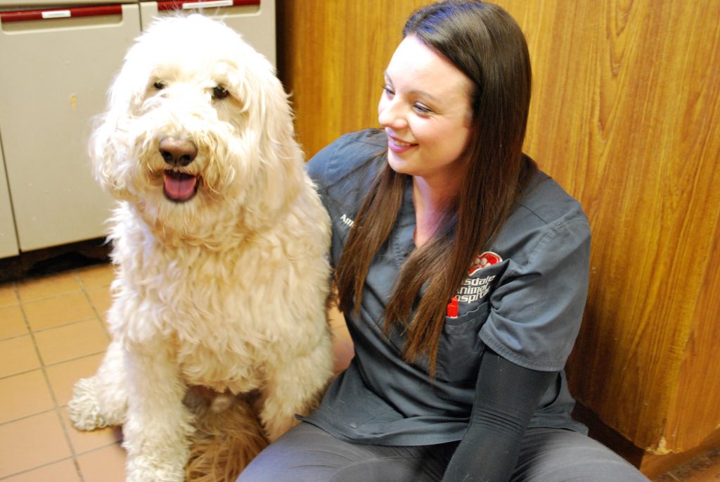 Veterinarian with a white dog