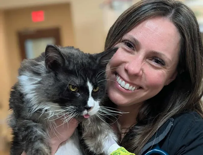 Cat in a staff members arms. Cat in a staff members arms.