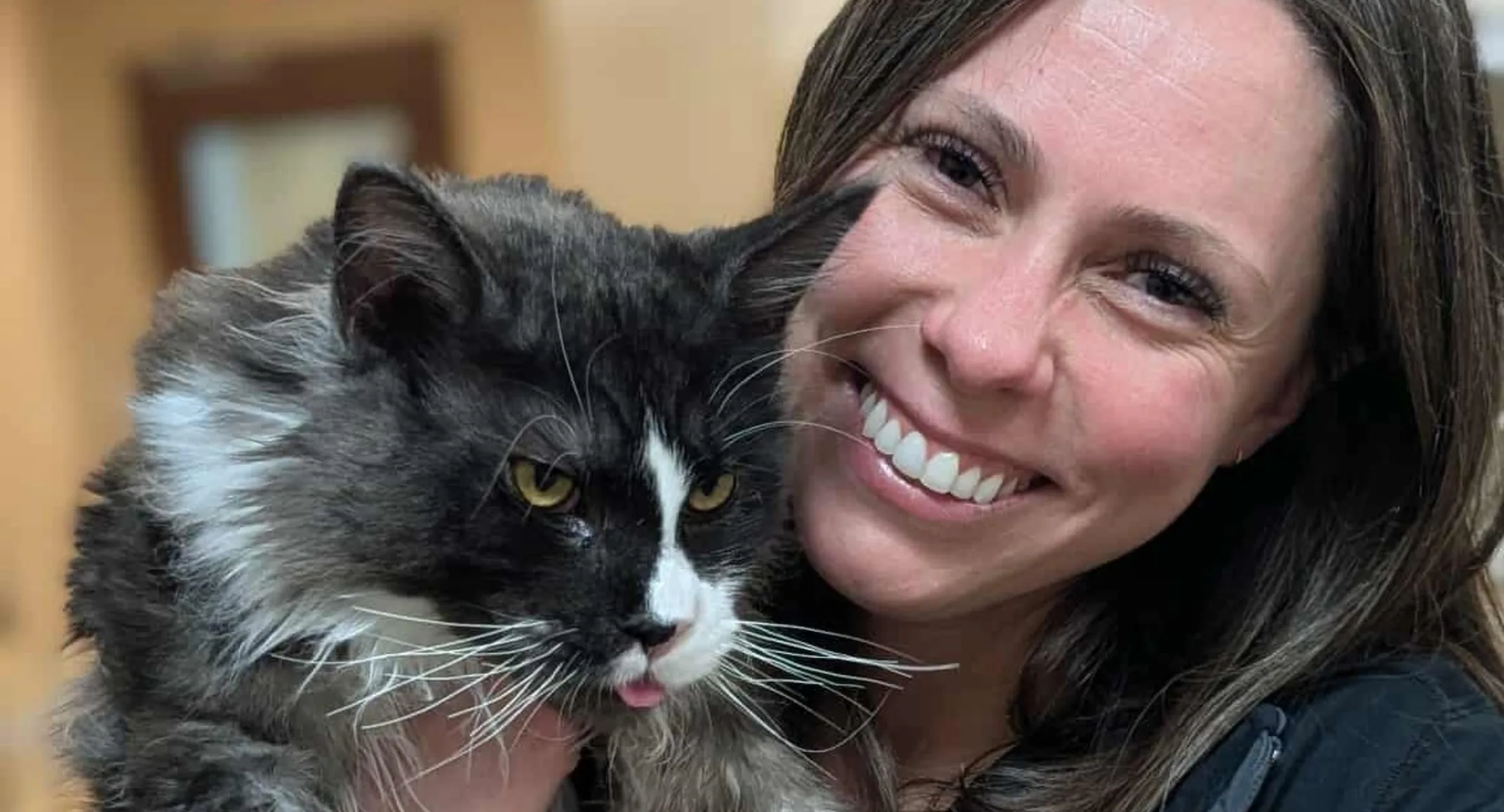 Cat in a staff members arms. Cat in a staff members arms.