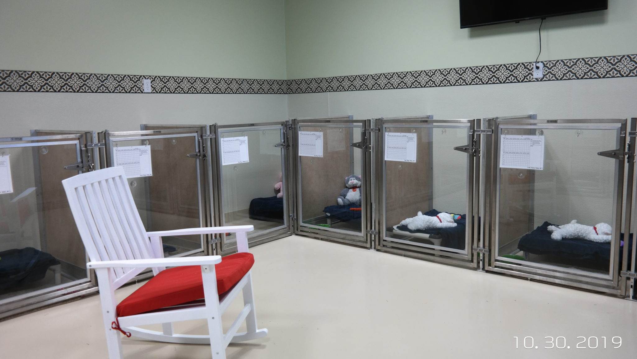 Dog daycare sleeping area at Happy Tails Pet Resort