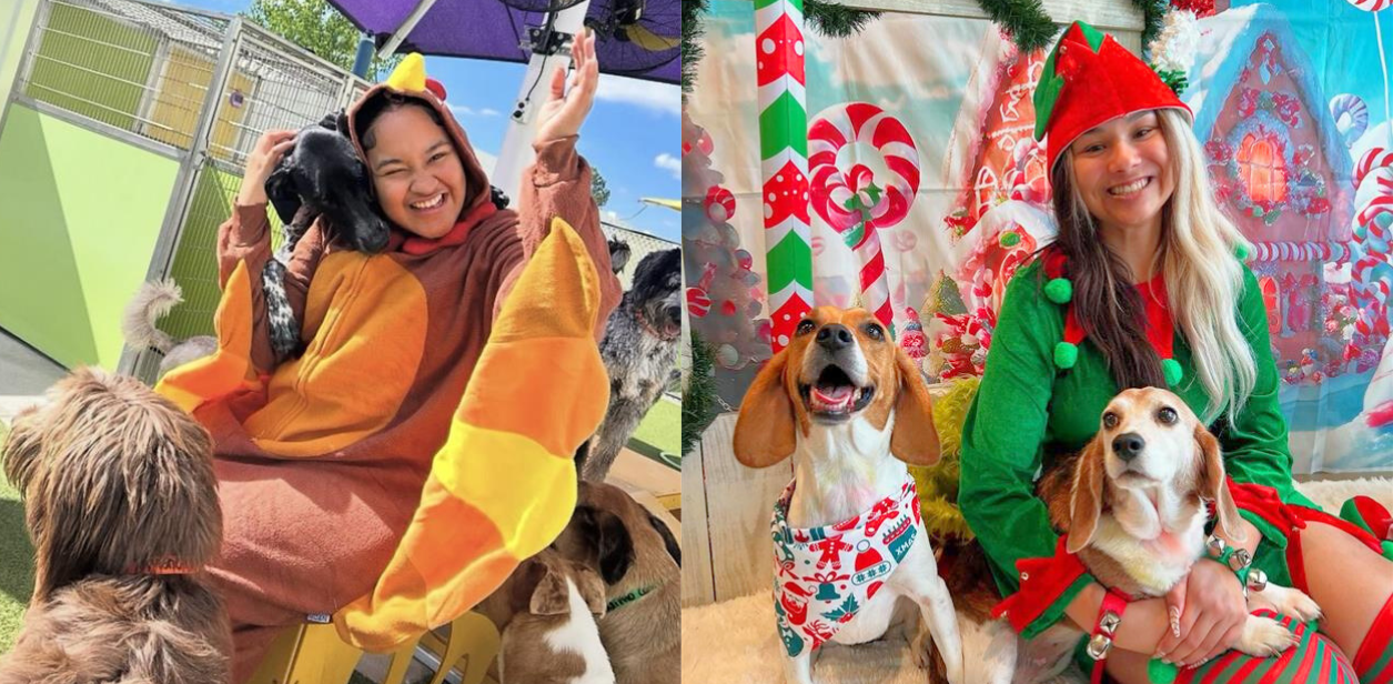 PetSuites staff play with dogs in holiday costumes. 