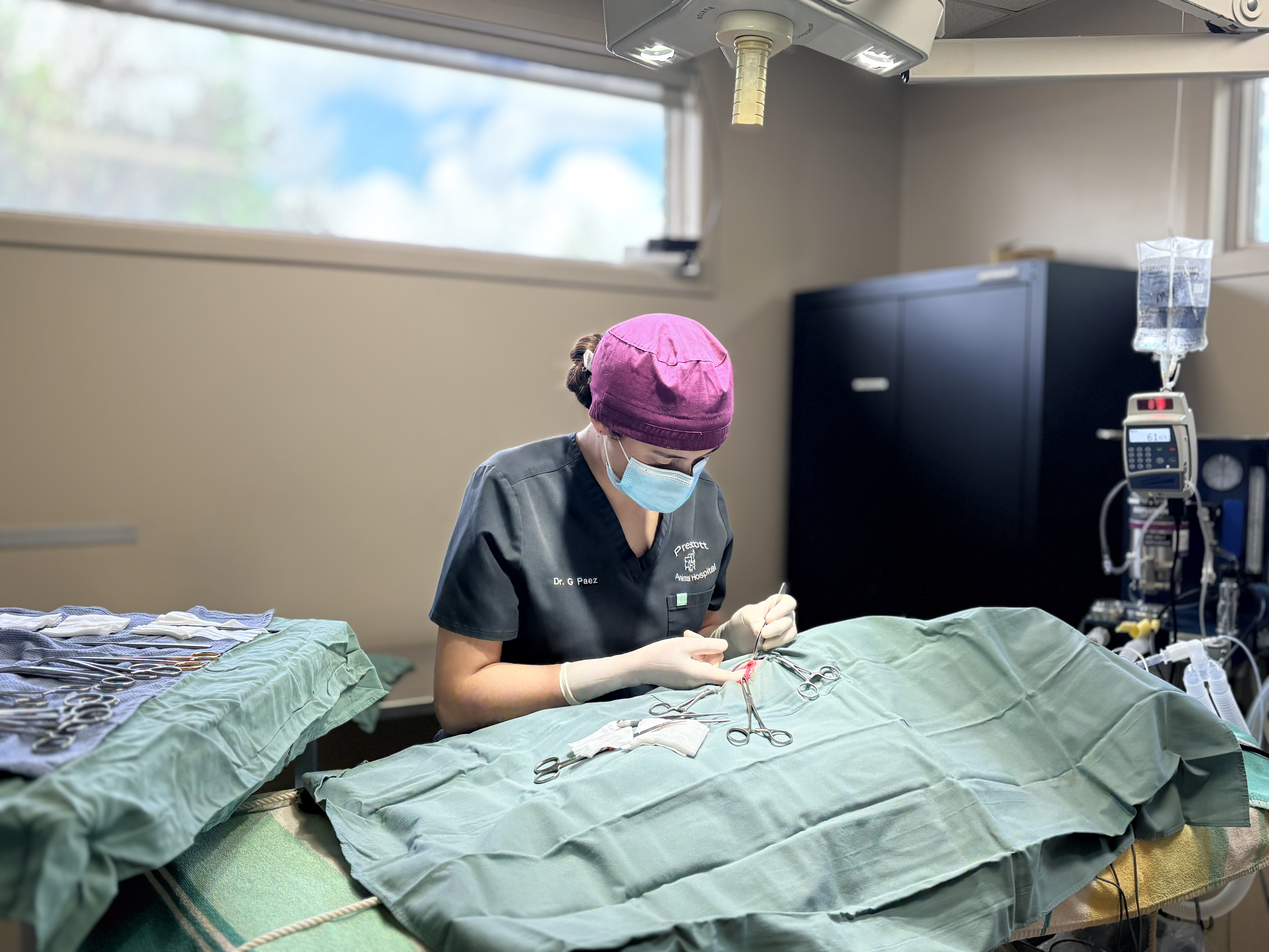 surgery image