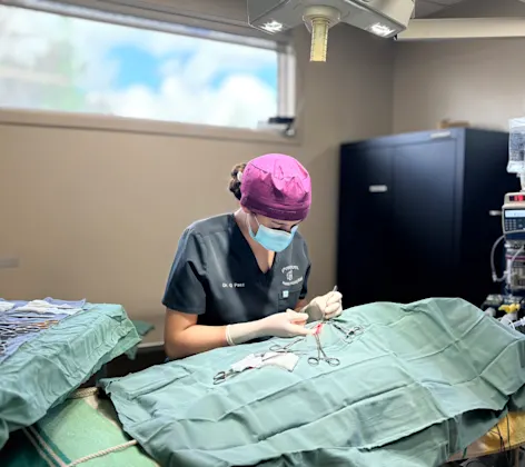 surgery image surgery image