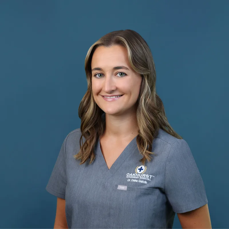 Dana Galvin Dana Galvin