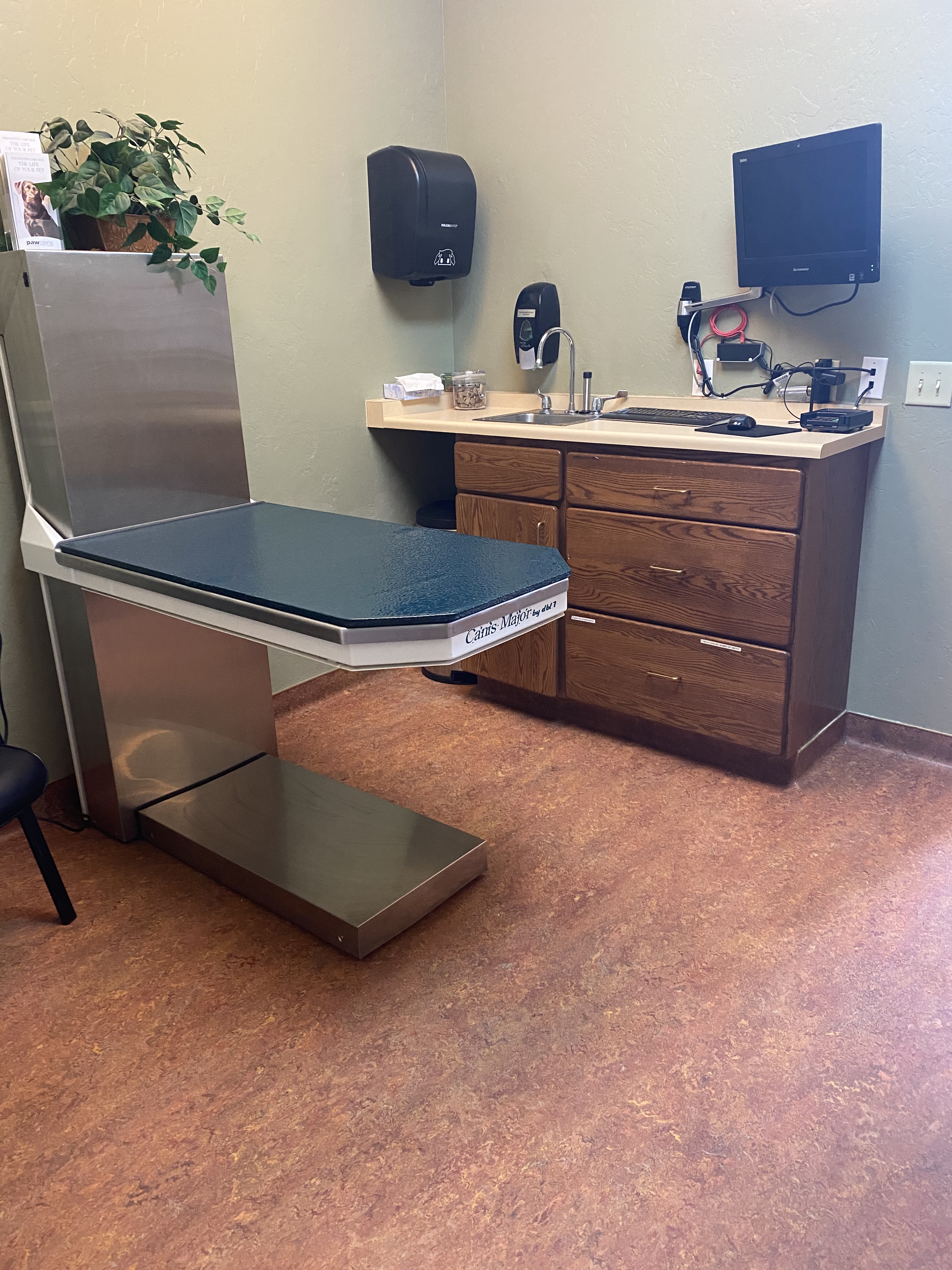 Clean exam room and table at Frisco Animal Hospital
