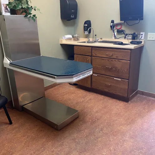 Clean exam room and table at Frisco Animal Hospital
