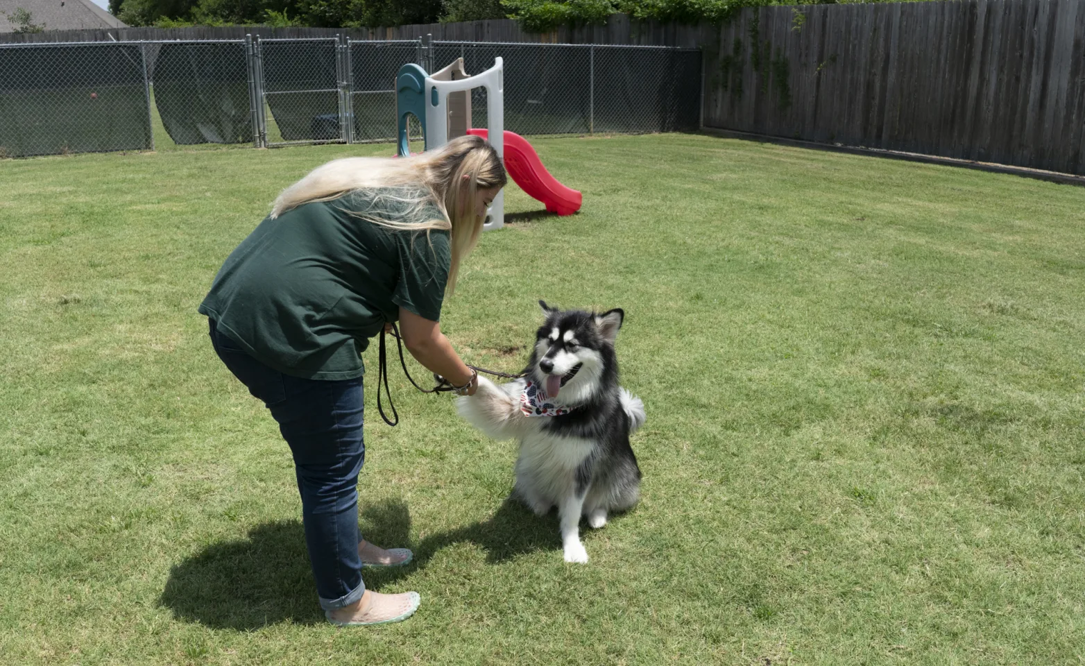Staff playing with dog at Rover Oaks Pet Resort Staff playing with dog at Rover Oaks Pet Resort