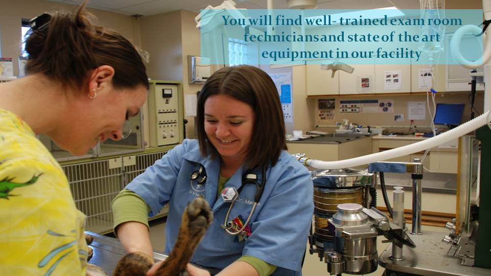 Exam room technicians