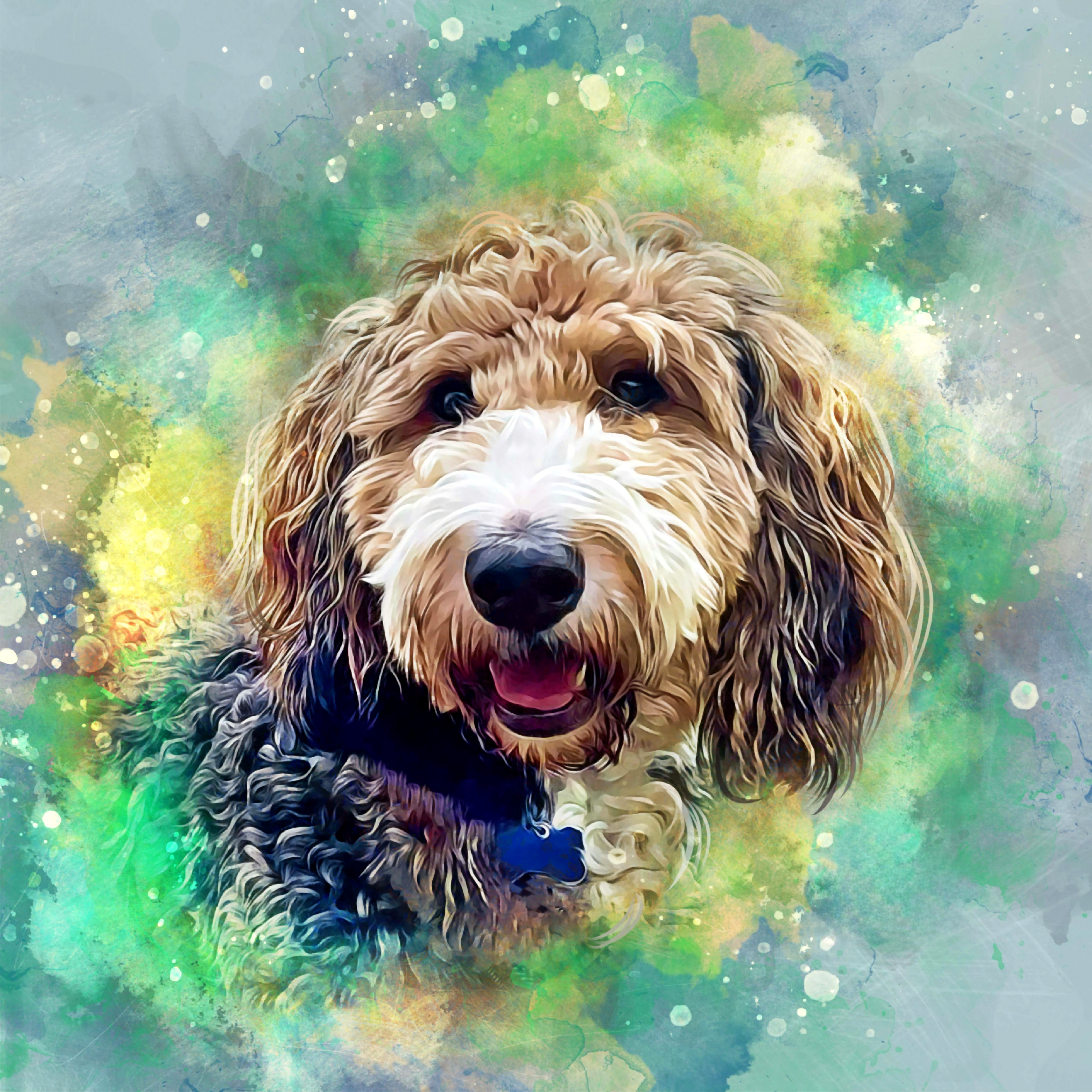 Dr. Matea David-Steel