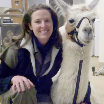 Dr. Strauss with white llama