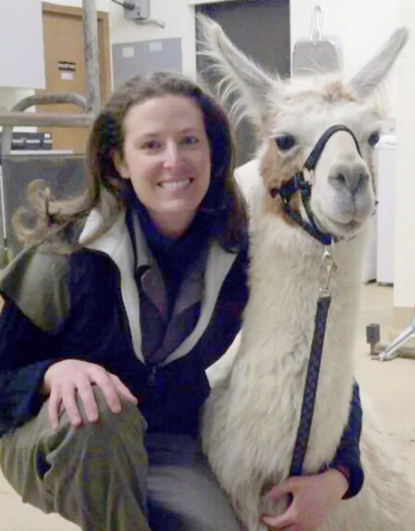 Dr. Strauss with white llama