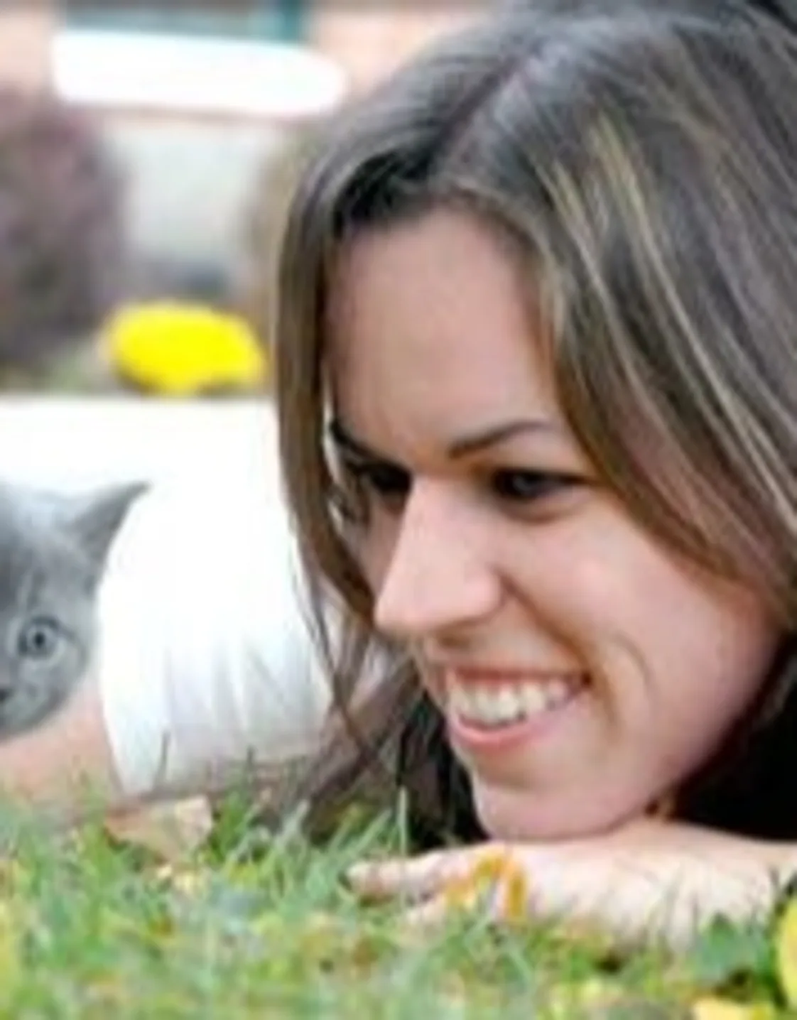 Melissa Daly from Princeton Animal Hospital & Carnegie Cat Clinic Melissa Daly from Princeton Animal Hospital & Carnegie Cat Clinic