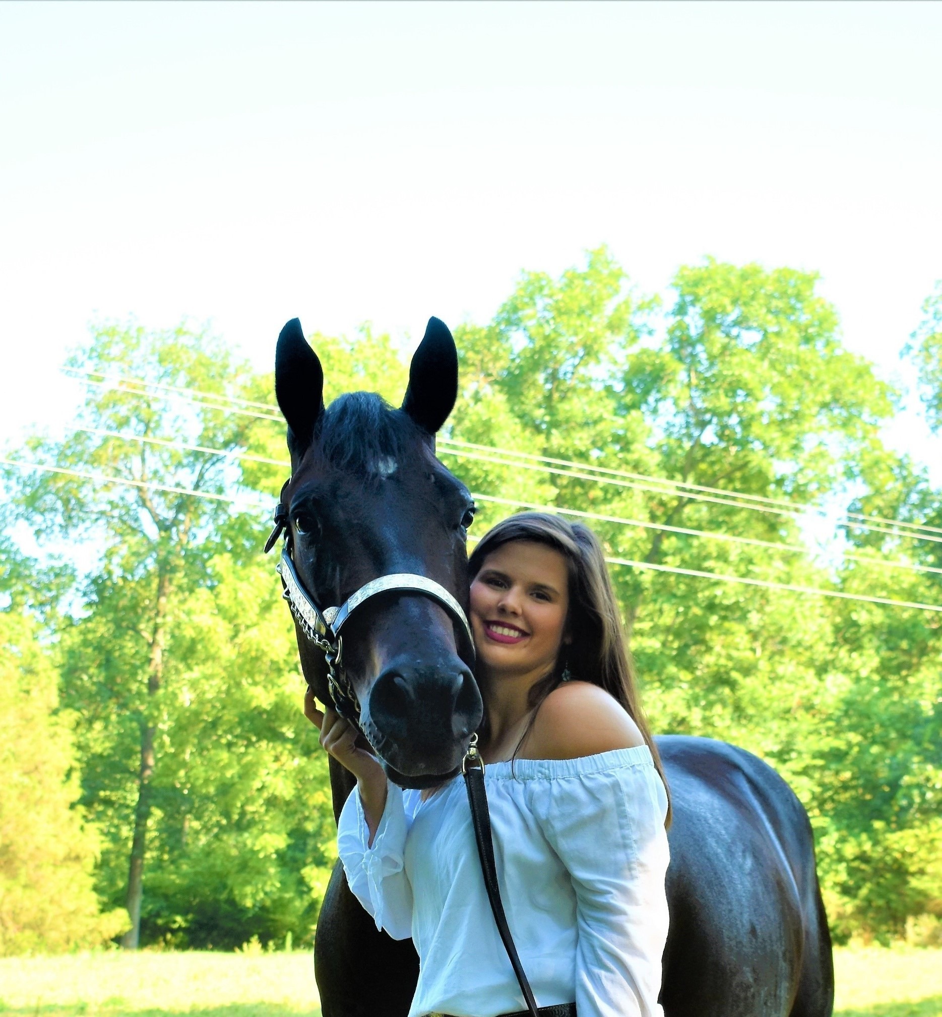 Outline drawing of a horse