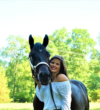 Outline drawing of a horse Outline drawing of a horse