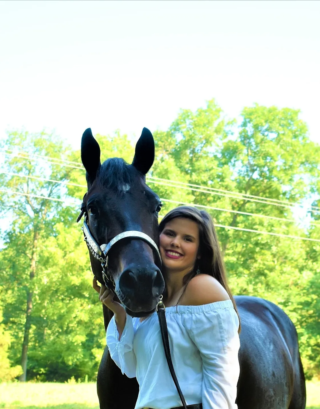 Outline drawing of a horse Outline drawing of a horse