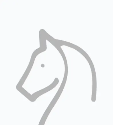 Outline drawing of a horse Outline drawing of a horse