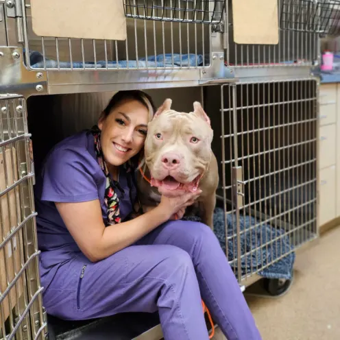 Staff member dressed in purple loving on a Pitbull in a crate