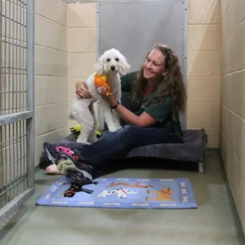 Staff with white dog in suite.