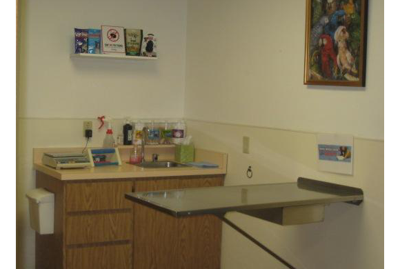 Merced Animal Medical Center Exam Table