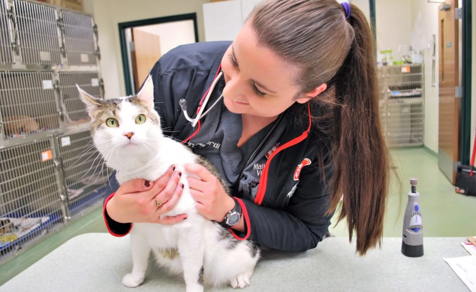 Staff with white cat at Mallard Point Veterinary Clinic