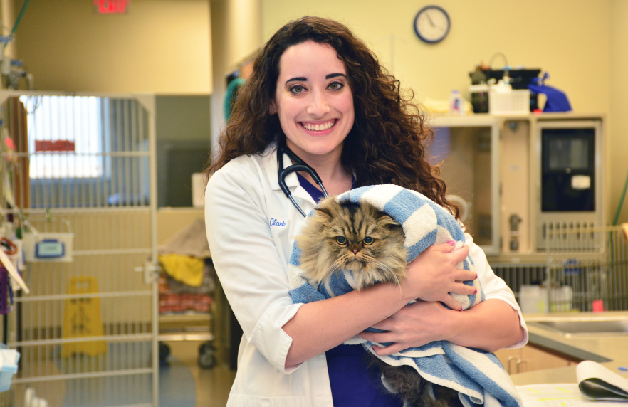 Careers Page Nashville Veterinary Specialists