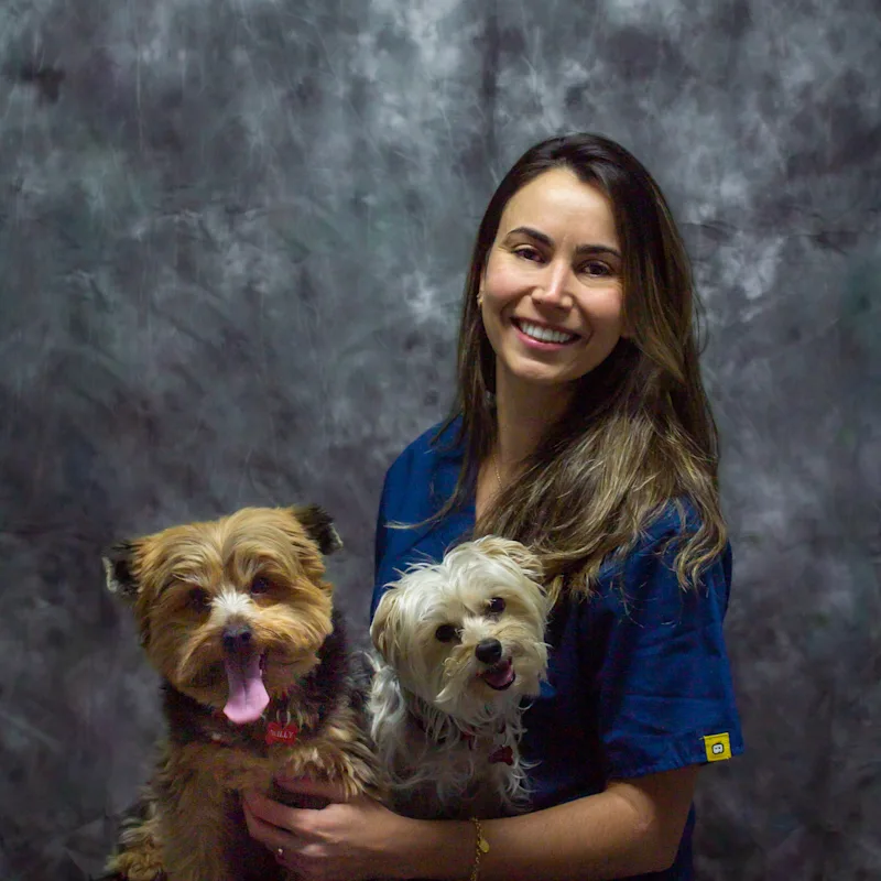 Tammy holding two little dogs in her lap Tammy holding two little dogs in her lap