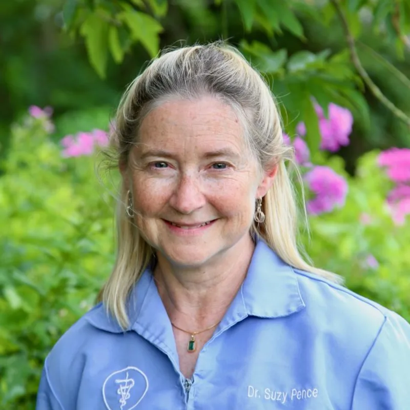 Suzy Pence Suzy Pence