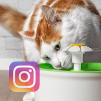 Instagram (LVCC West)