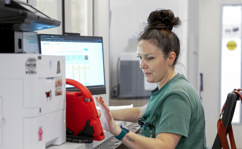A team member working on the computer