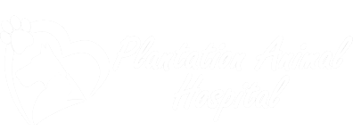 Plantation Animal Hospital of Tampa Logo Plantation Animal Hospital of Tampa Logo