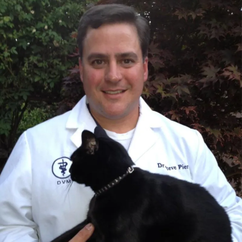 Dr. Steven Piert is holding onto a black cat. Dr. Steven Piert is holding onto a black cat.
