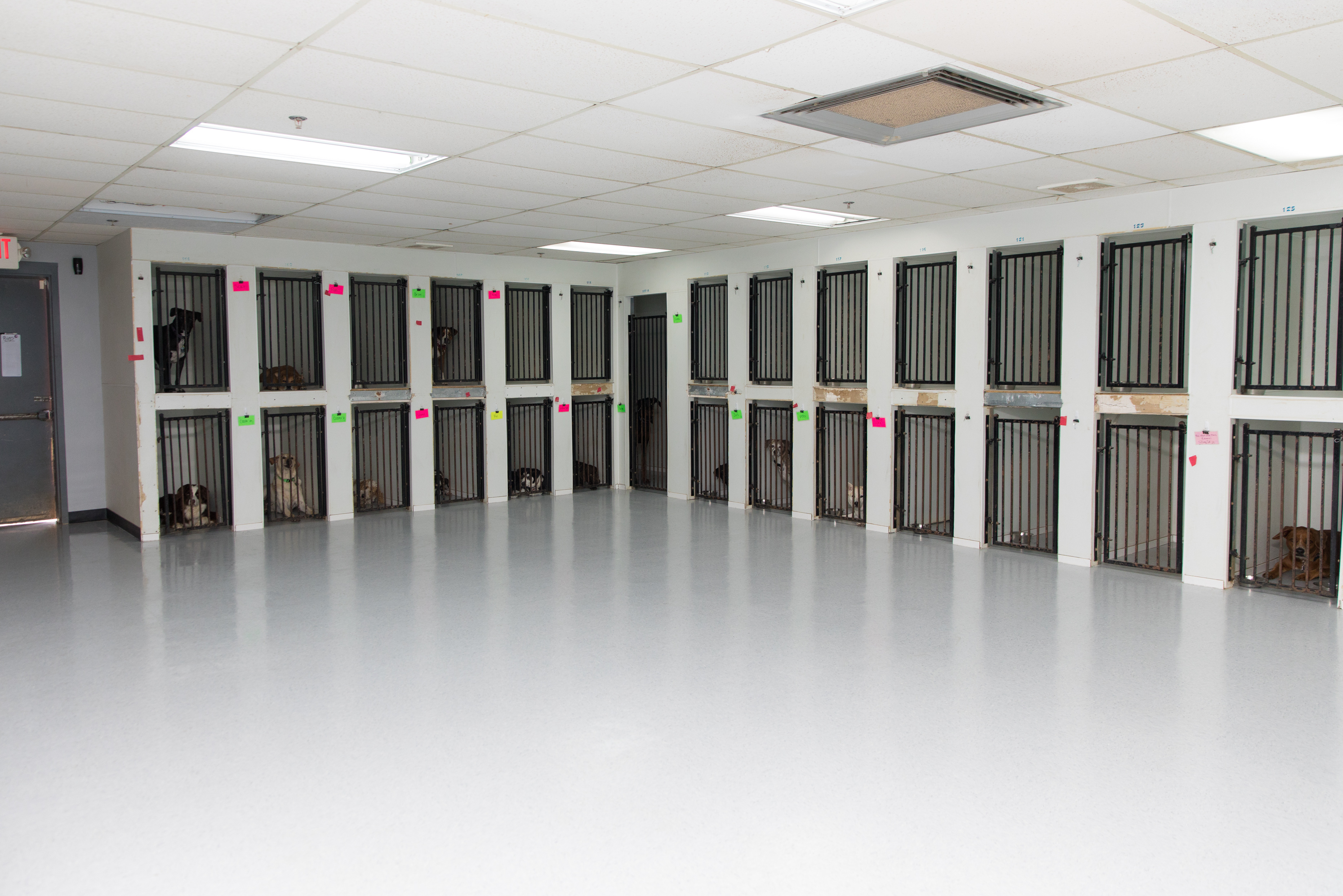 Doggie District - Paradise Valley - Boarding