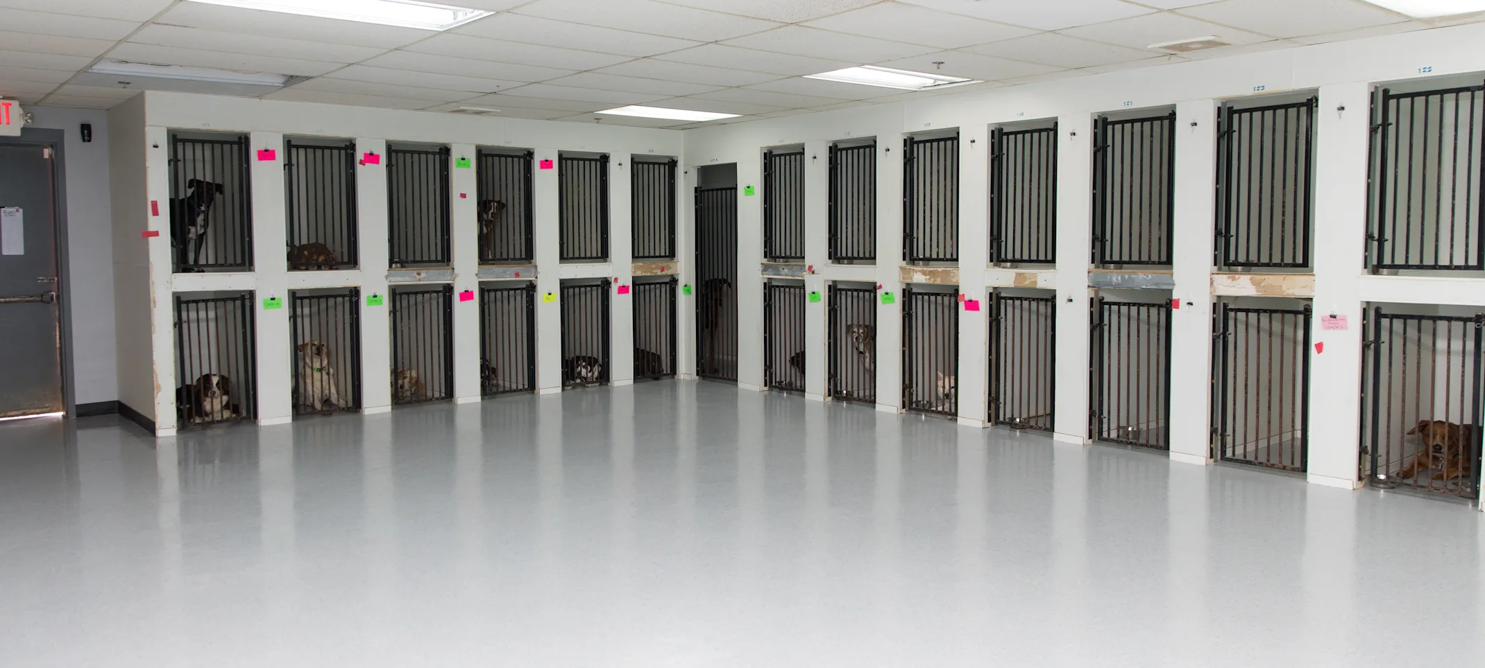 Doggie District - Paradise Valley - Boarding Doggie District - Paradise Valley - Boarding