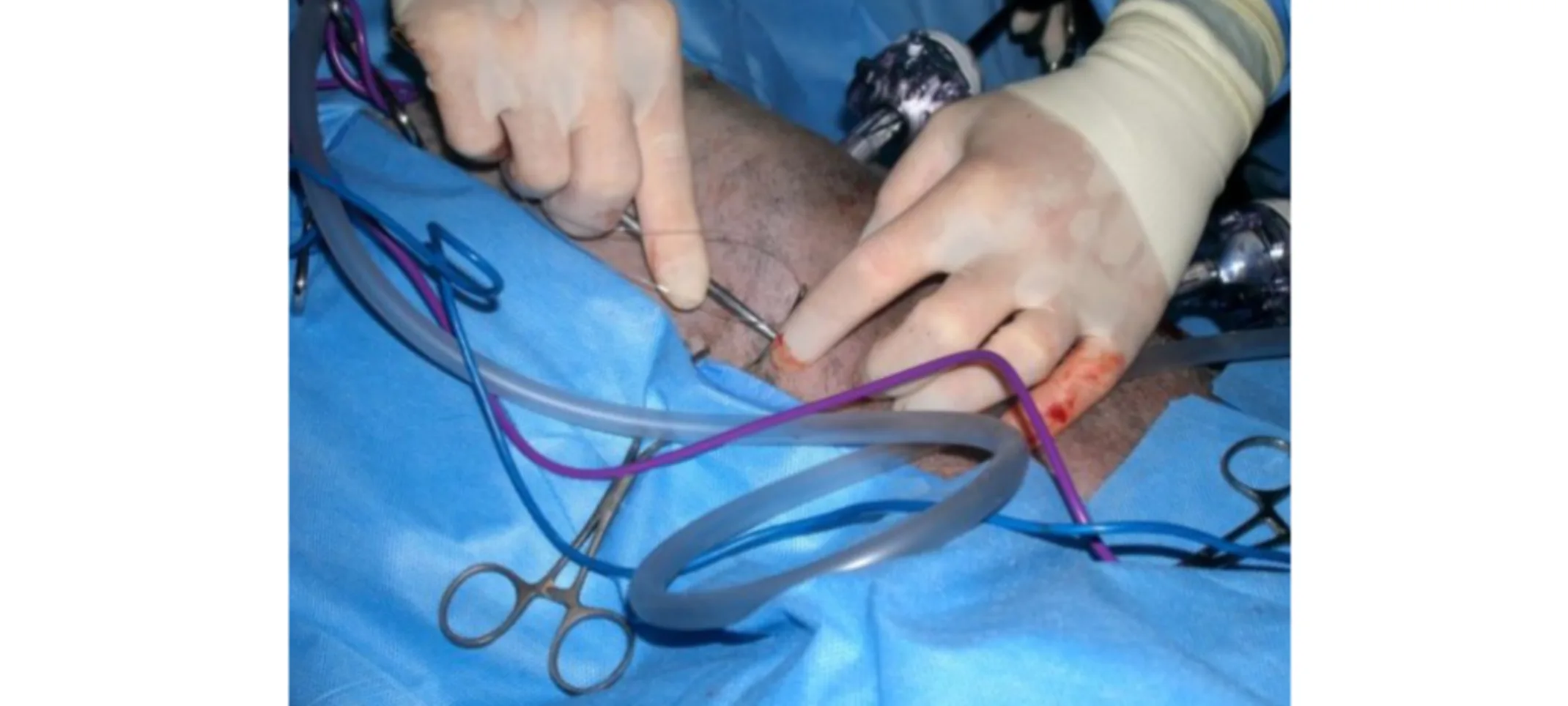 External view of vet working on patient External view of vet working on patient