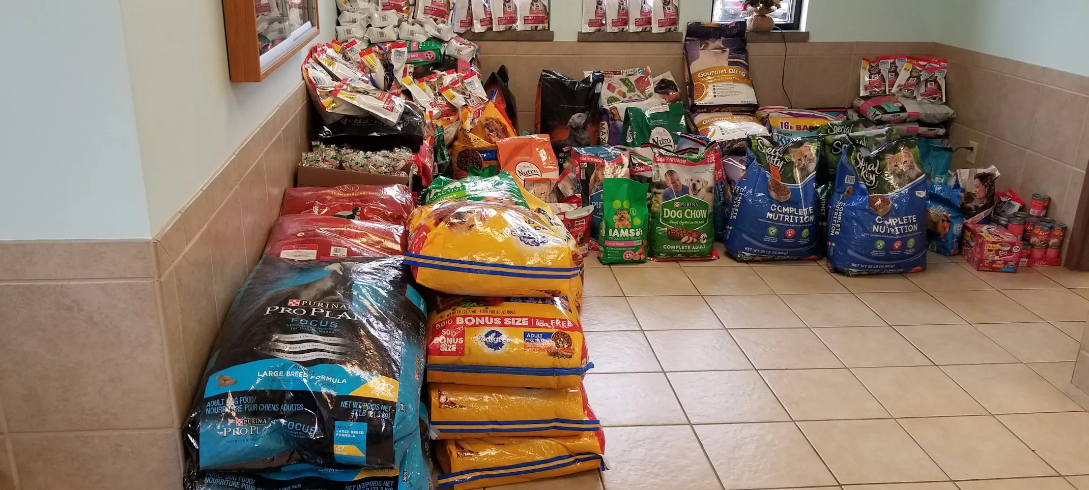 pet food pet food