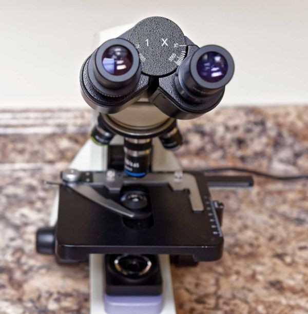 Microscope at Sherwood Veterinary Clinic