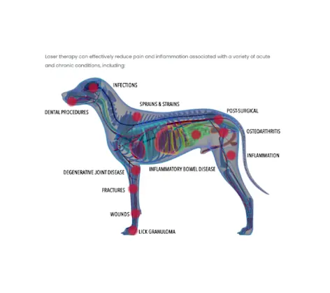Laser therapy diagram Laser therapy diagram