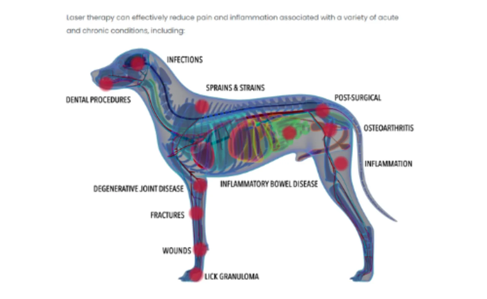 Laser therapy diagram Laser therapy diagram