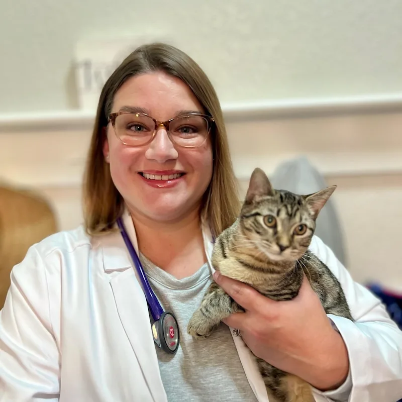 Nicole Johnston Nicole Johnston