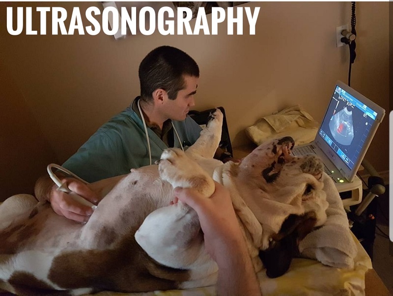 Ultrasonography