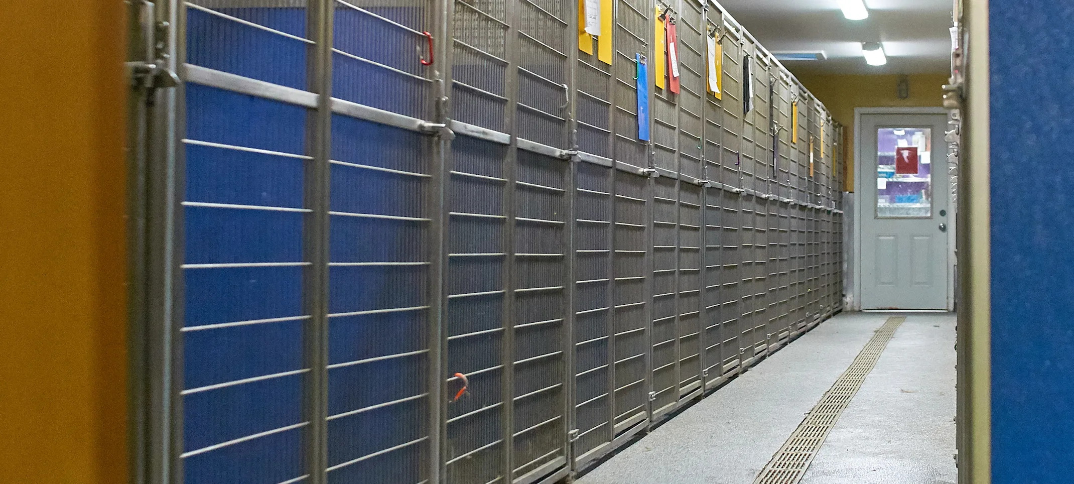 Kennels Kennels