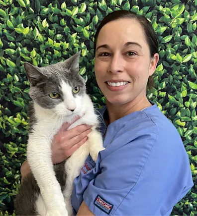Lindy's staff photo from Spanish Trail Animal Hospital where she is posing with a grey cat Lindy's staff photo from Spanish Trail Animal Hospital where she is posing with a grey cat