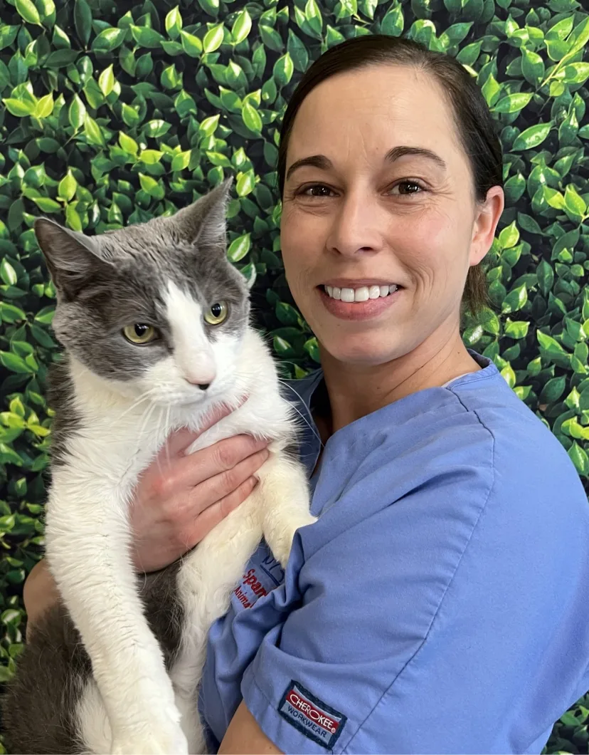  Lindy's staff photo from Spanish Trail Animal Hospital where she is posing with a grey cat