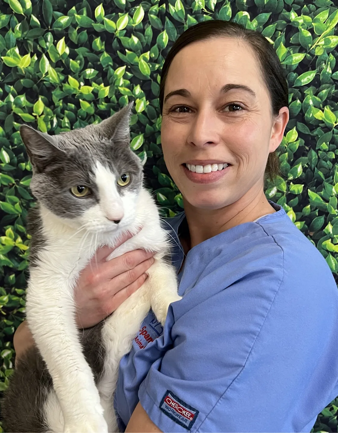 Lindy's staff photo from Spanish Trail Animal Hospital where she is posing with a grey cat Lindy's staff photo from Spanish Trail Animal Hospital where she is posing with a grey cat